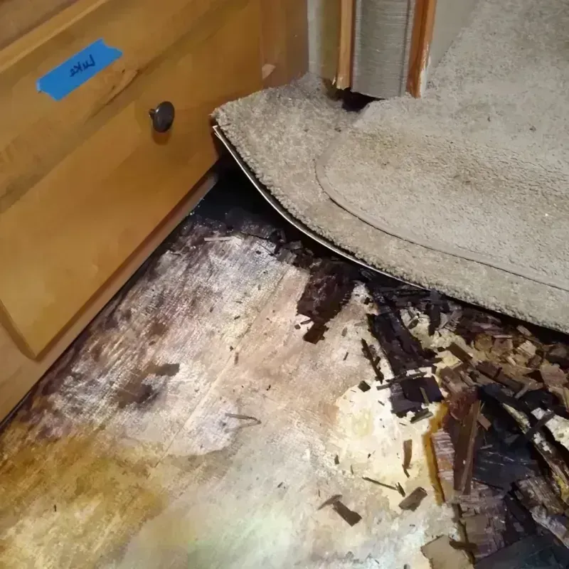 Wood Floor Water Damage in Douglas, IL